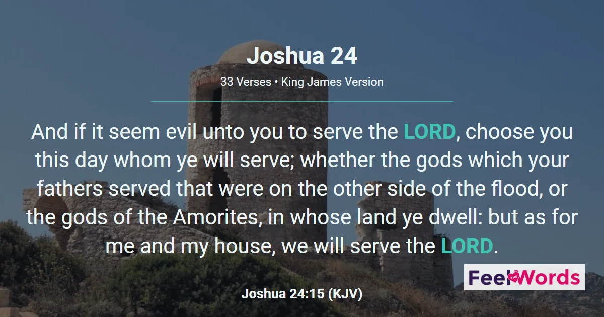 Joshua Chapter 24 (KJV)