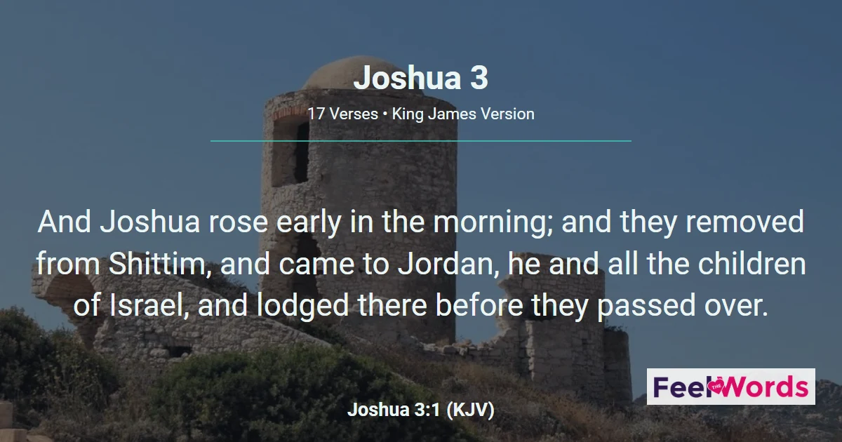Joshua Chapter 3 (KJV)