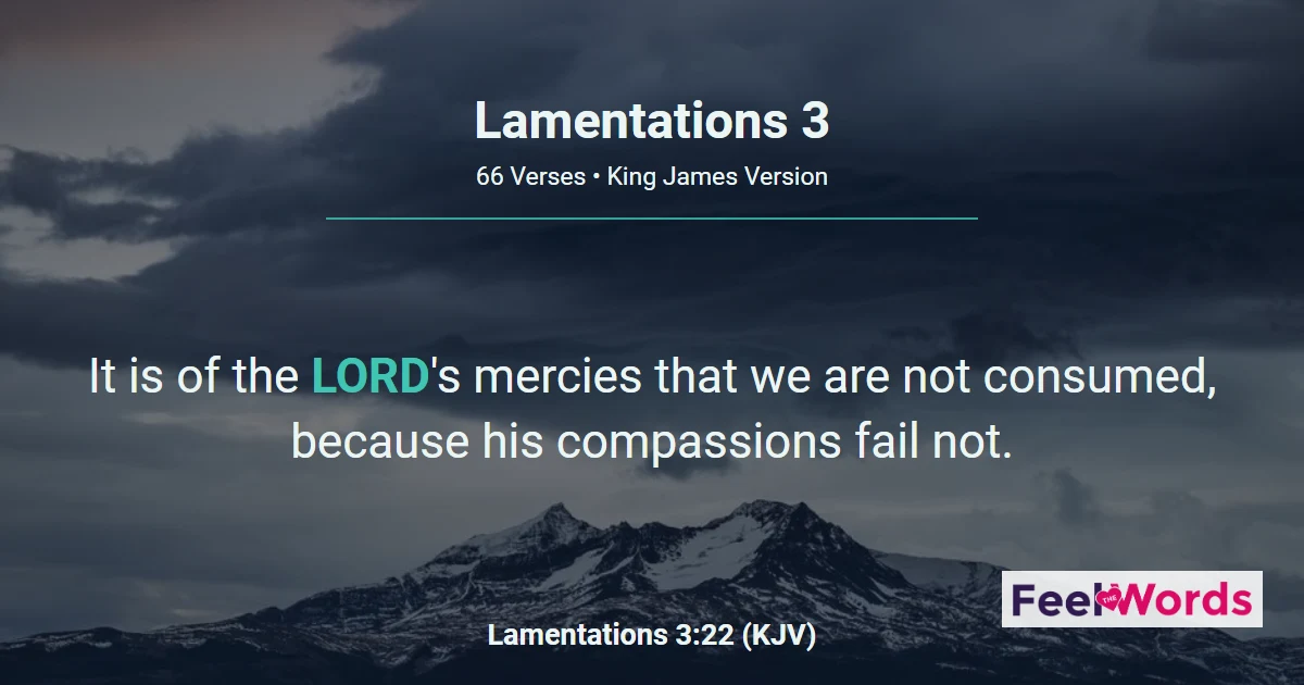 Lamentations Chapter 3 (KJV)