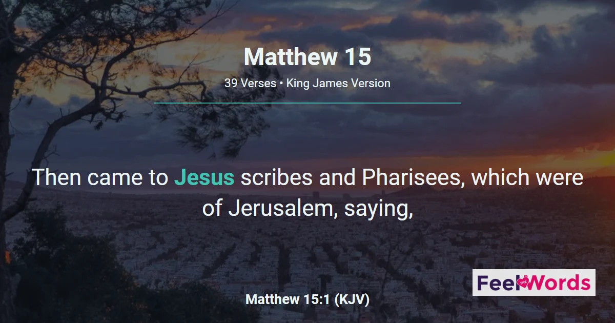 Matthew Chapter 15 (KJV)