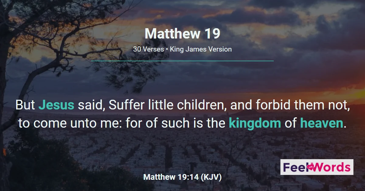 Matthew Chapter 19 (KJV)