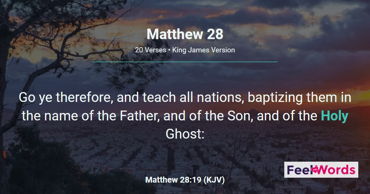 Matthew Chapter 28 (KJV)
