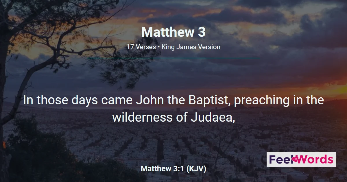 Matthew Chapter 3 (KJV)