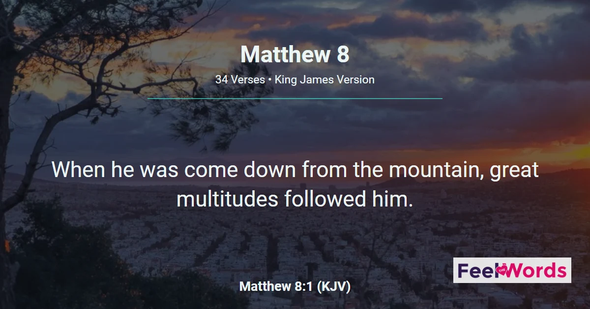 Matthew Chapter 8 (KJV)
