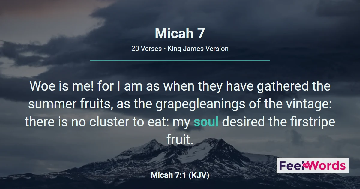Micah Chapter 7 (KJV)