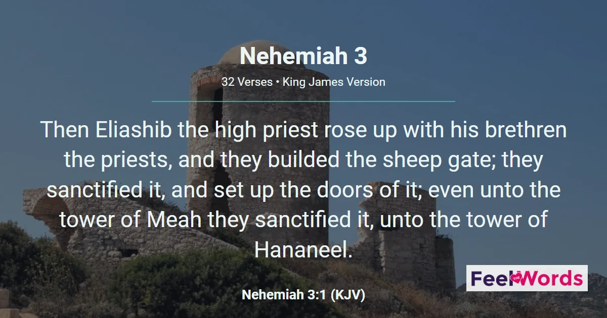 Nehemiah Chapter 3 (KJV)