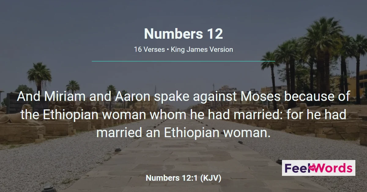 Numbers Chapter 12 (KJV)