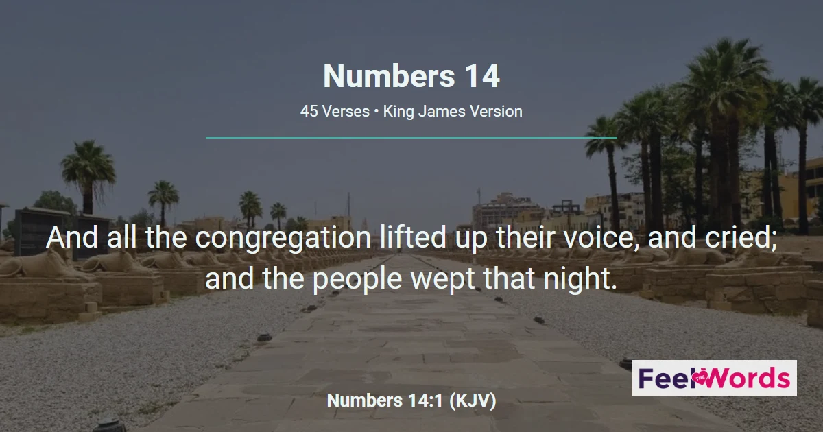 Numbers Chapter 14 (KJV)