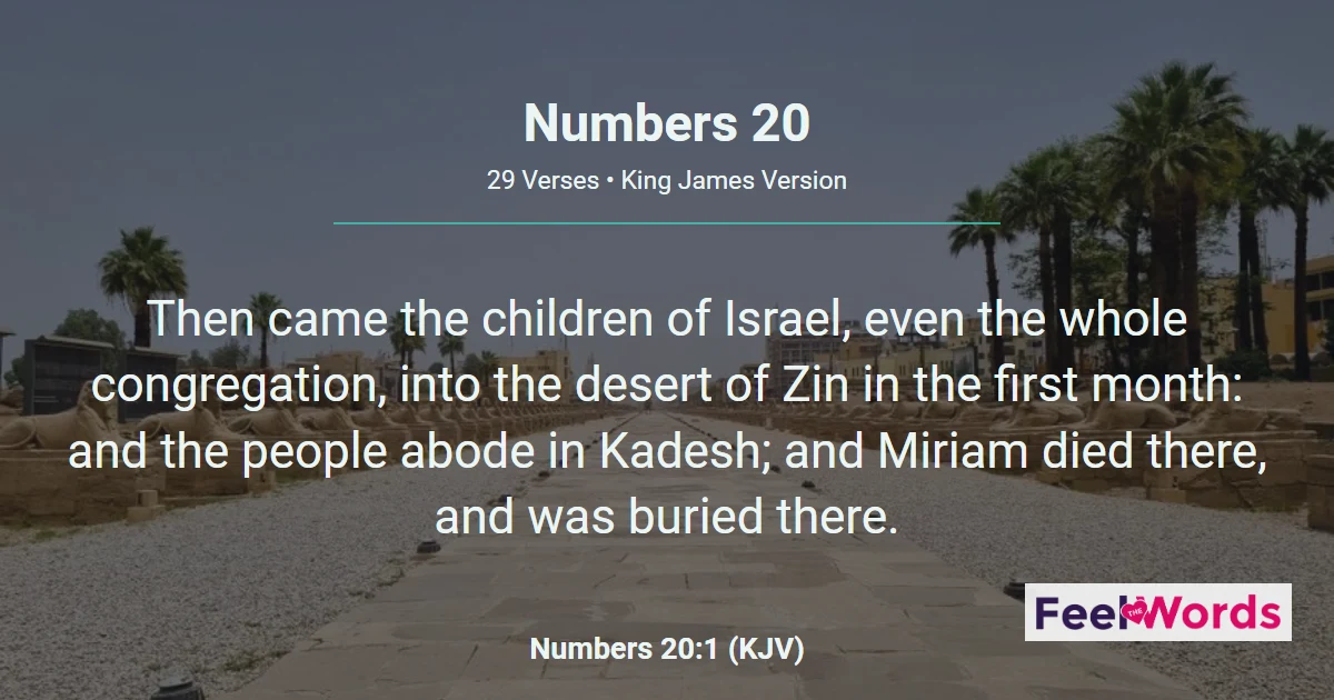 Numbers Chapter 20 (KJV)