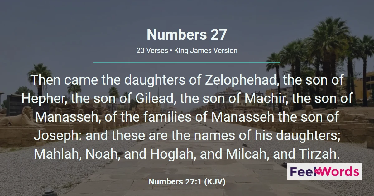 Numbers Chapter 27 (KJV)