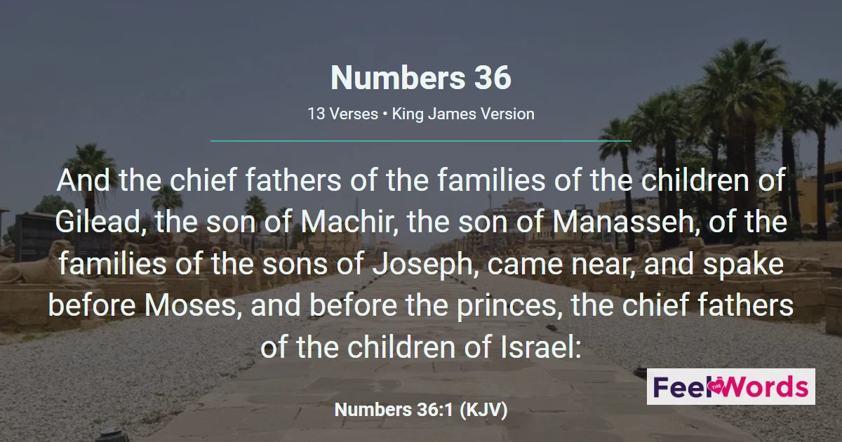 Numbers Chapter 36 (KJV)