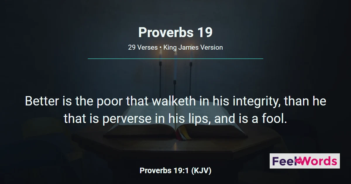 Proverbs Chapter 19 (KJV)