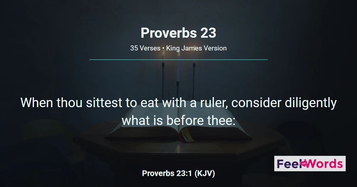 Proverbs Chapter 23 (KJV)