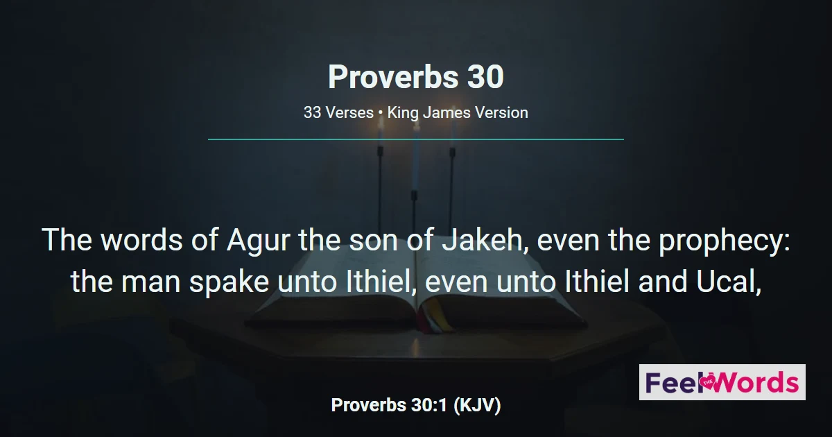 Proverbs Chapter 30 (KJV)