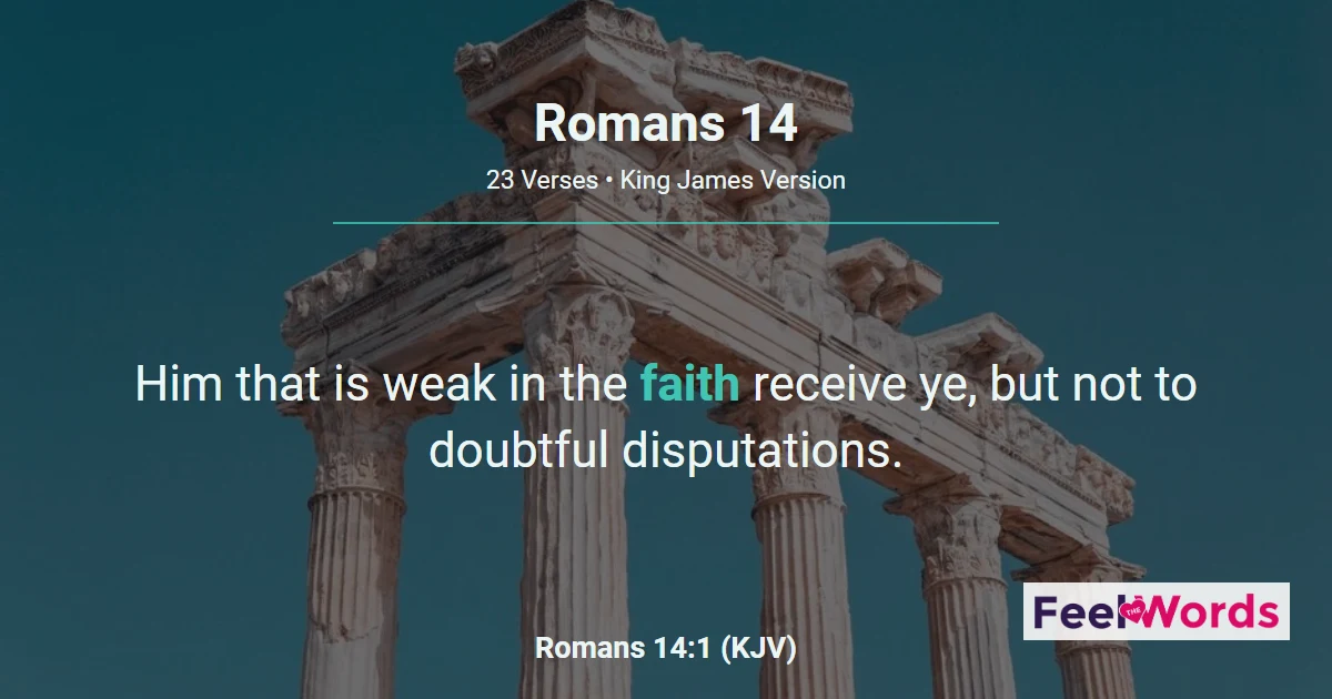 Romans Chapter 14 (KJV)