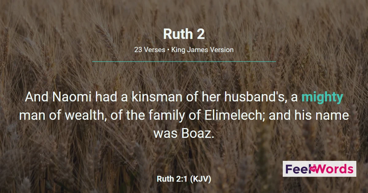 Ruth Chapter 2 (KJV)