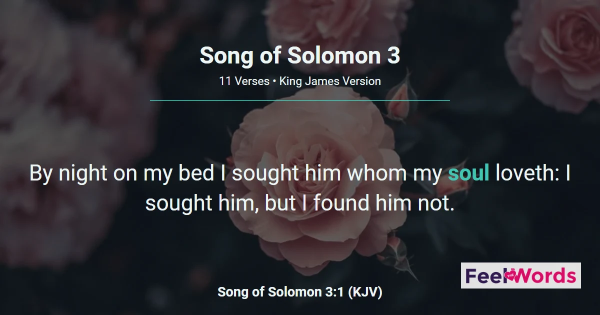 Song of Solomon Chapter 3 (KJV)