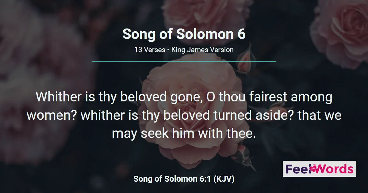 Song of Solomon Chapter 6 (KJV)