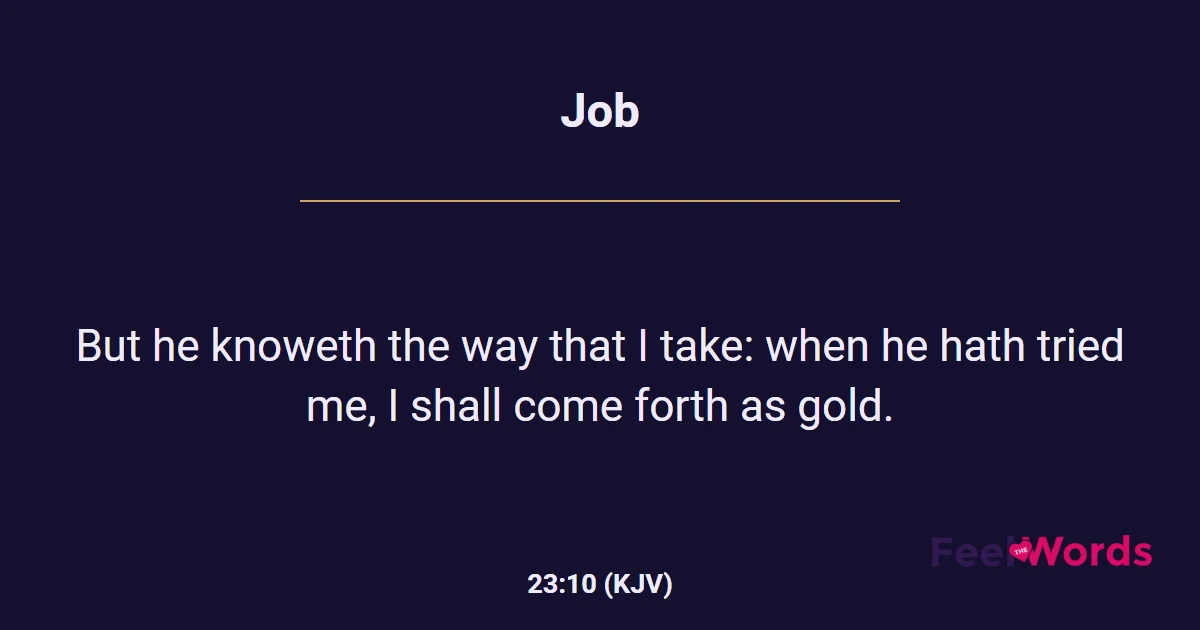 Job 23:10