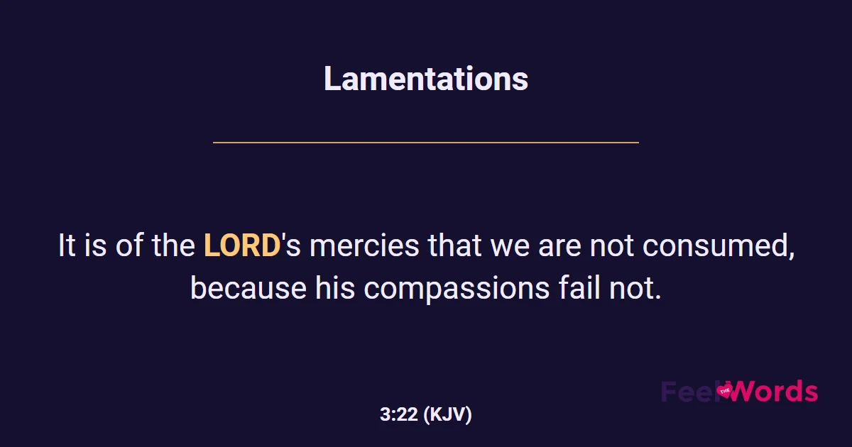 Lamentations 3:22