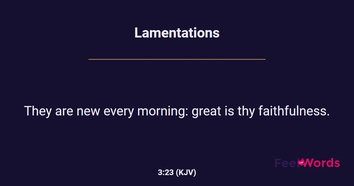 Lamentations 3:23