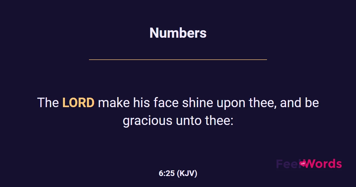 Numbers 6:25