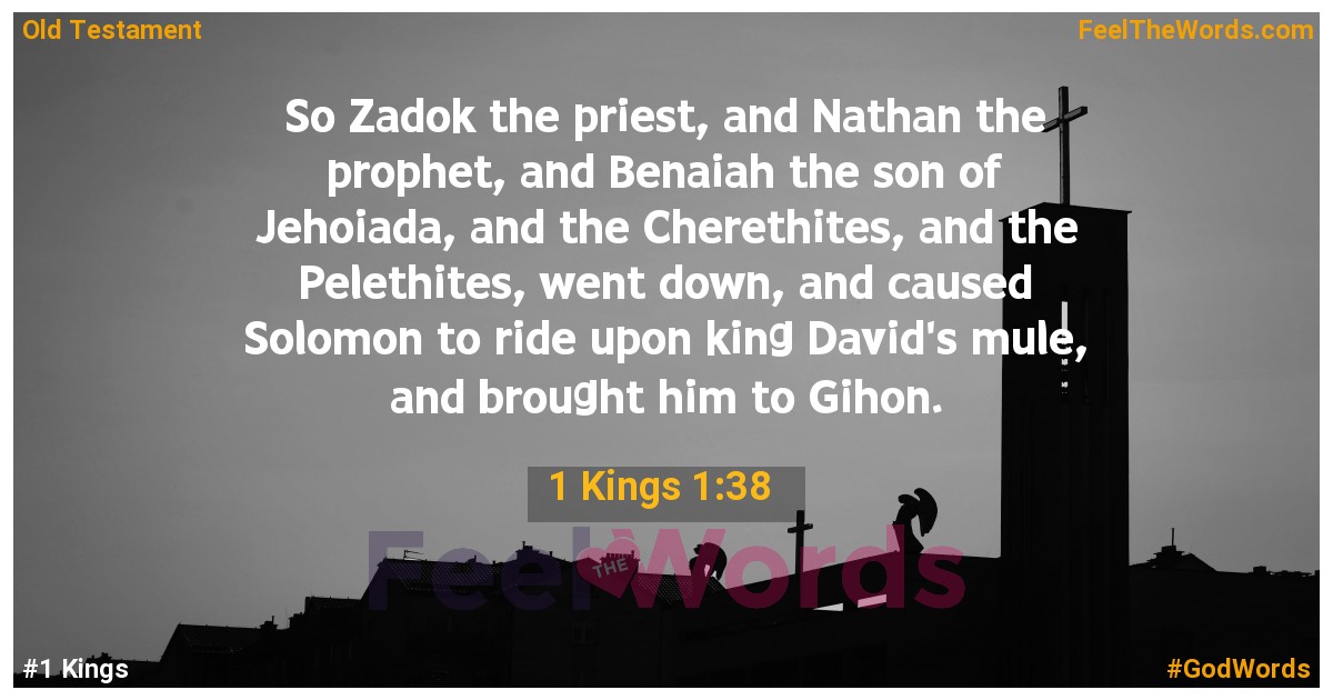1 Kings 1:38