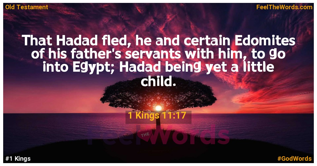 1 Kings 11:17