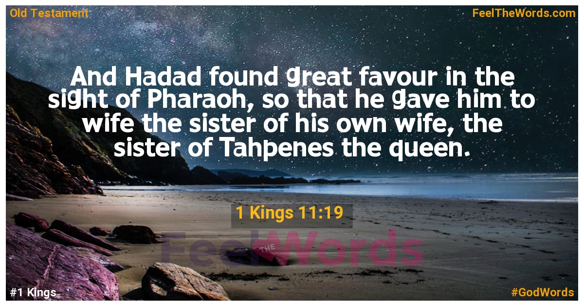 1 Kings 11:19