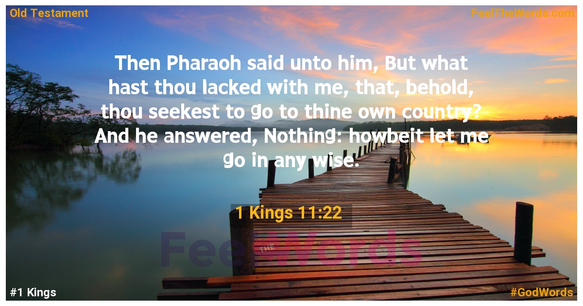 1 Kings 11:22