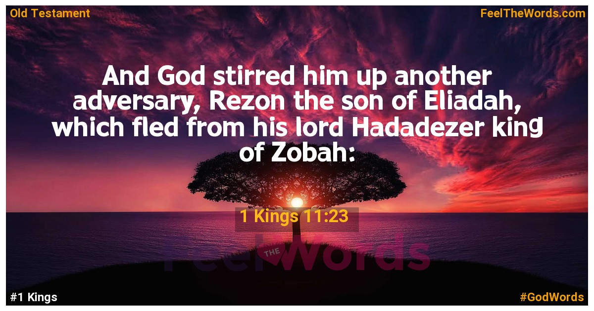 1 Kings 11:23