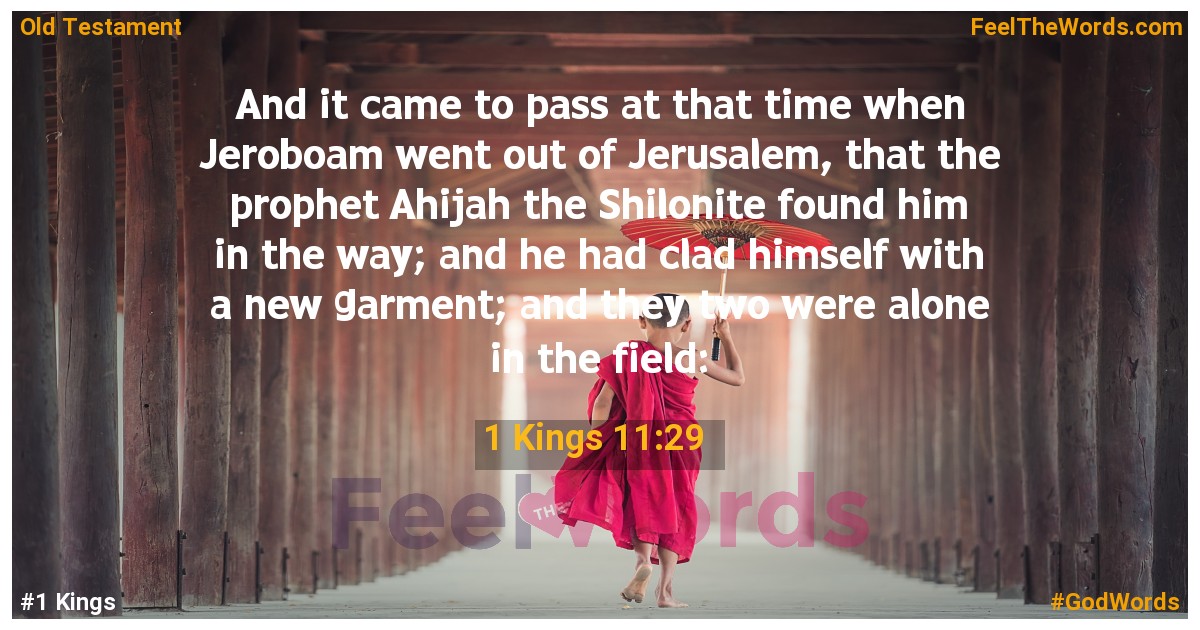 1 Kings 11:29