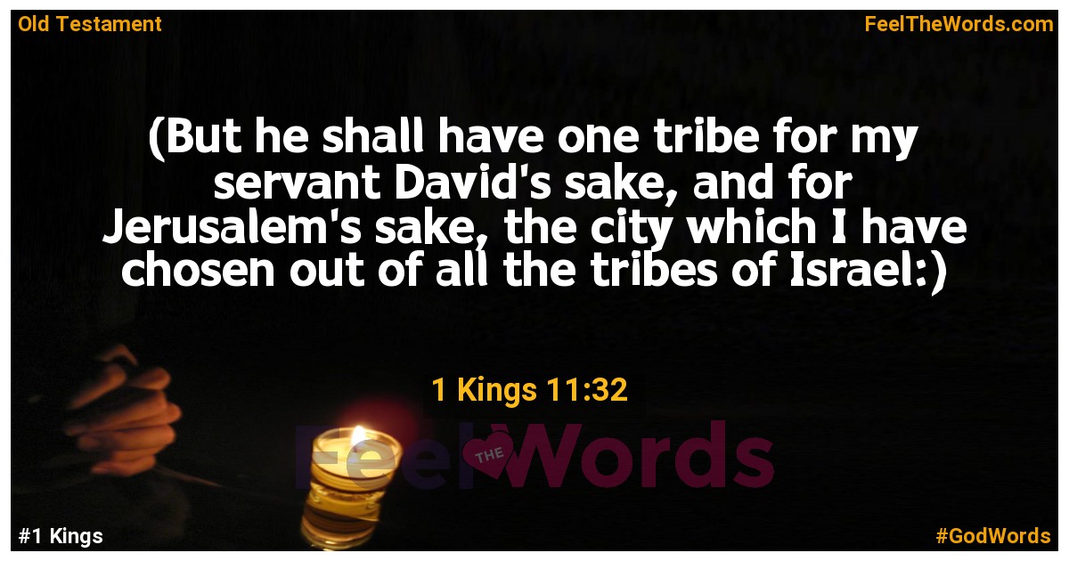 1 Kings 11:32