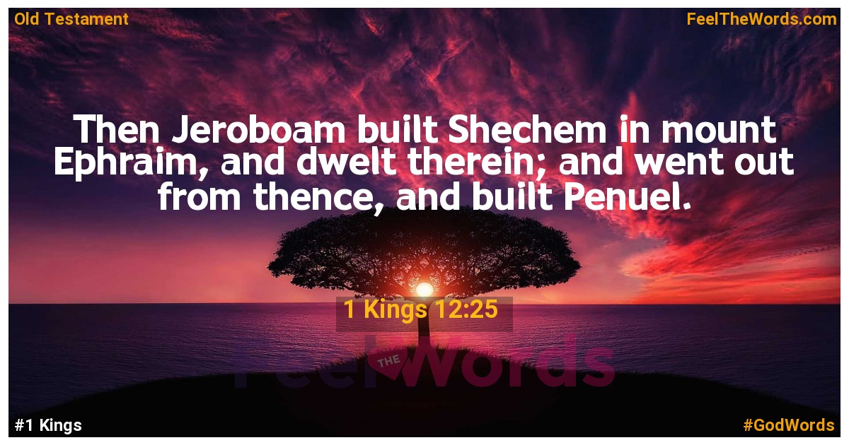 1 Kings 12:25