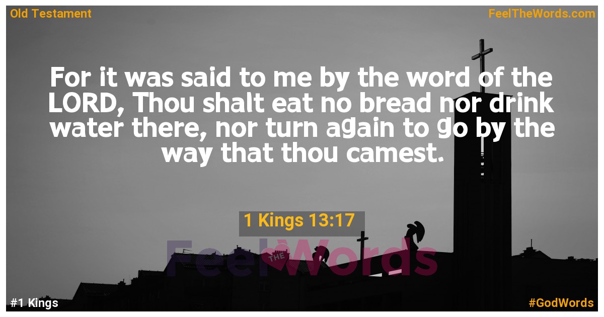 1 Kings 13:17