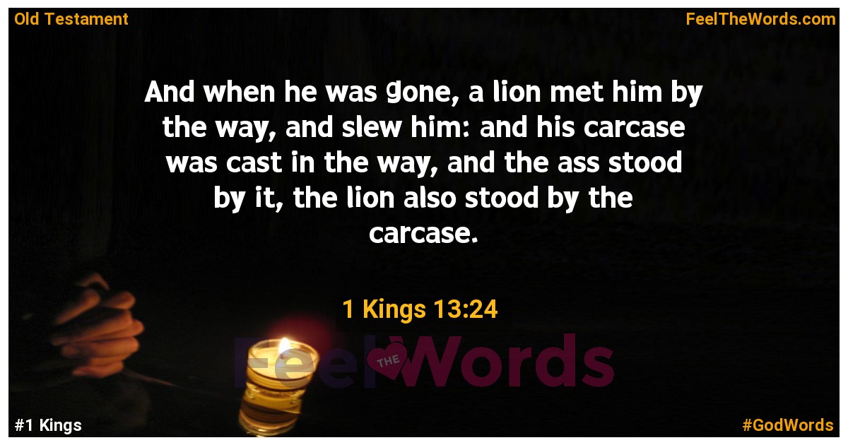 1 Kings 13:24