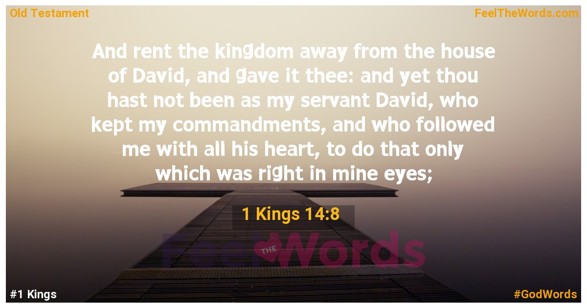 1 Kings 14:8