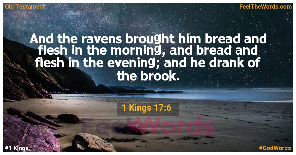 1 Kings 17:6