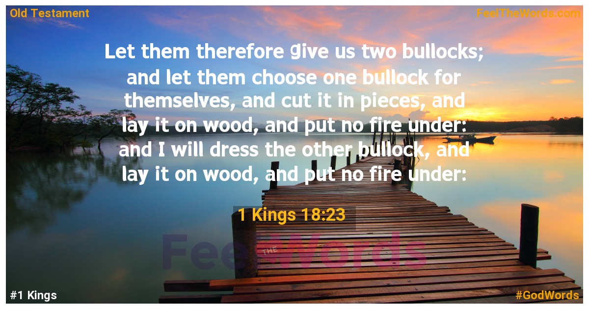 1 Kings 18:23
