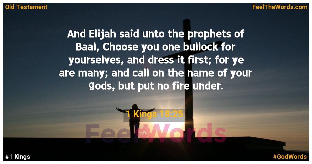 1 Kings 18:25