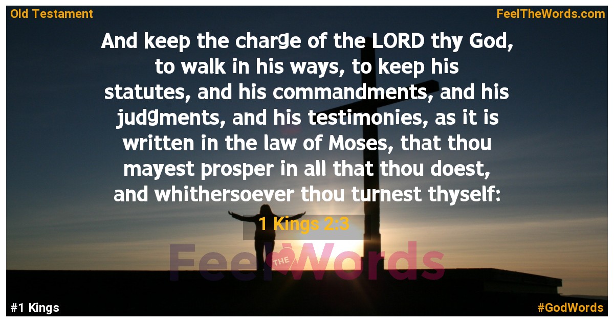 1 Kings 2:3