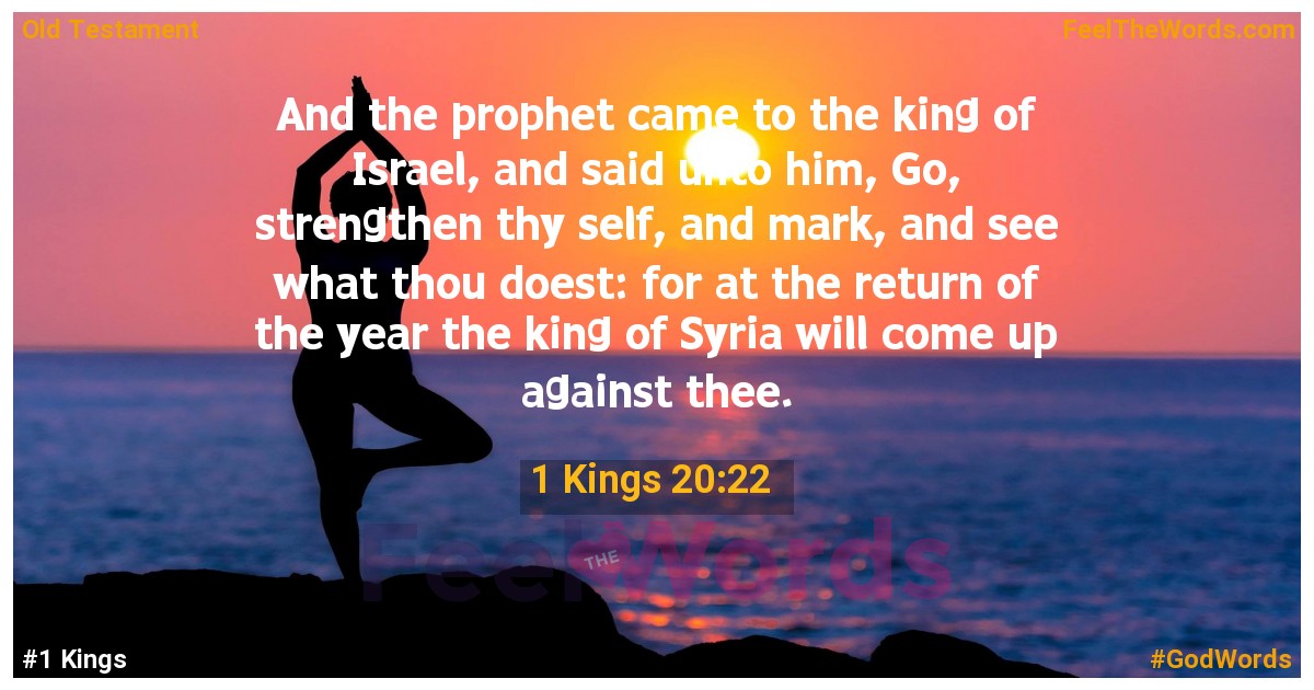 1 Kings 20:22