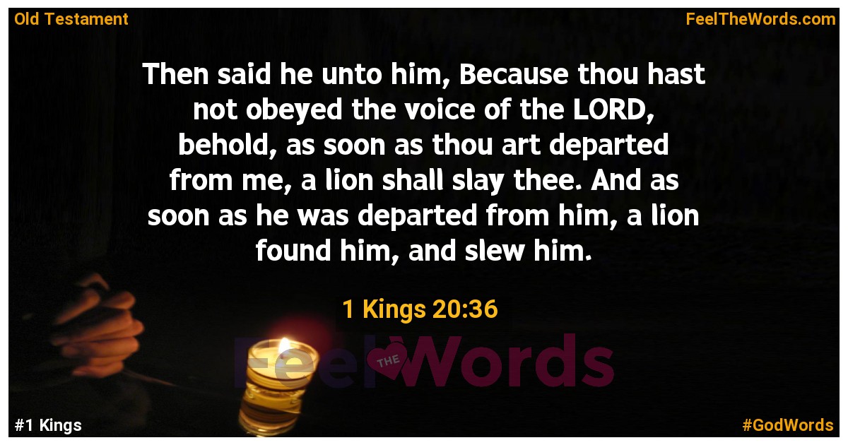 1 Kings 20:36