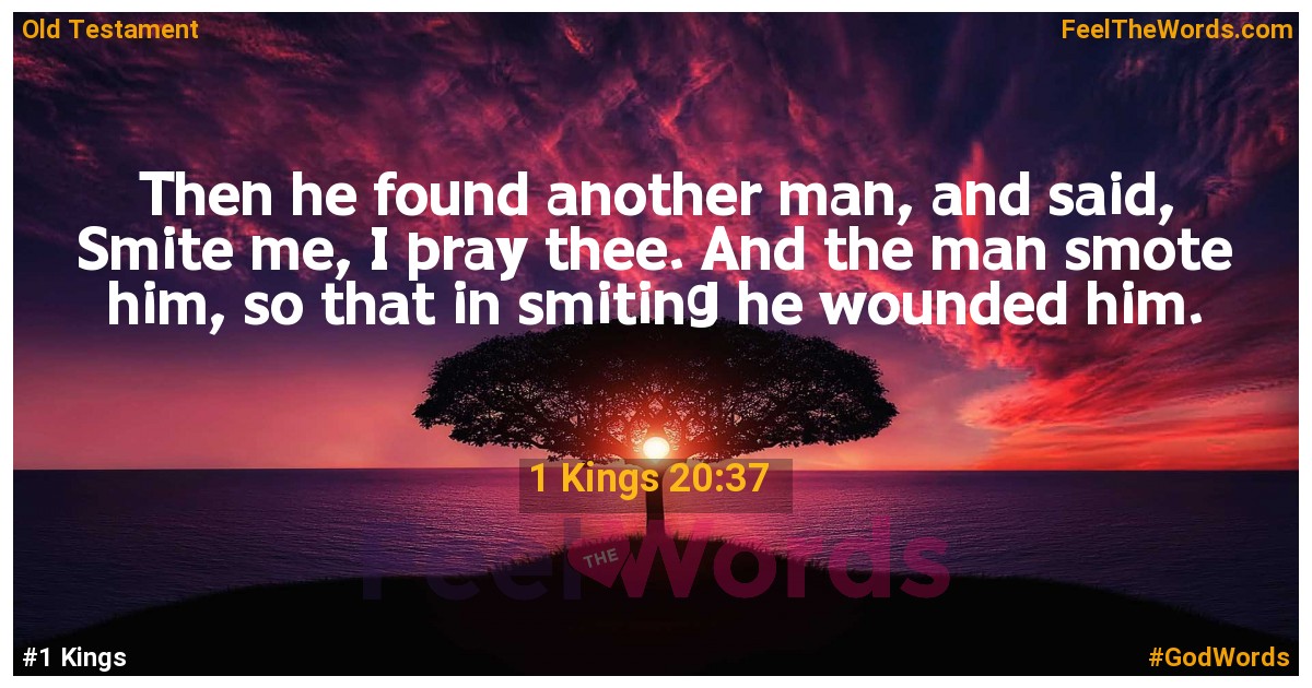 1 Kings 20:37