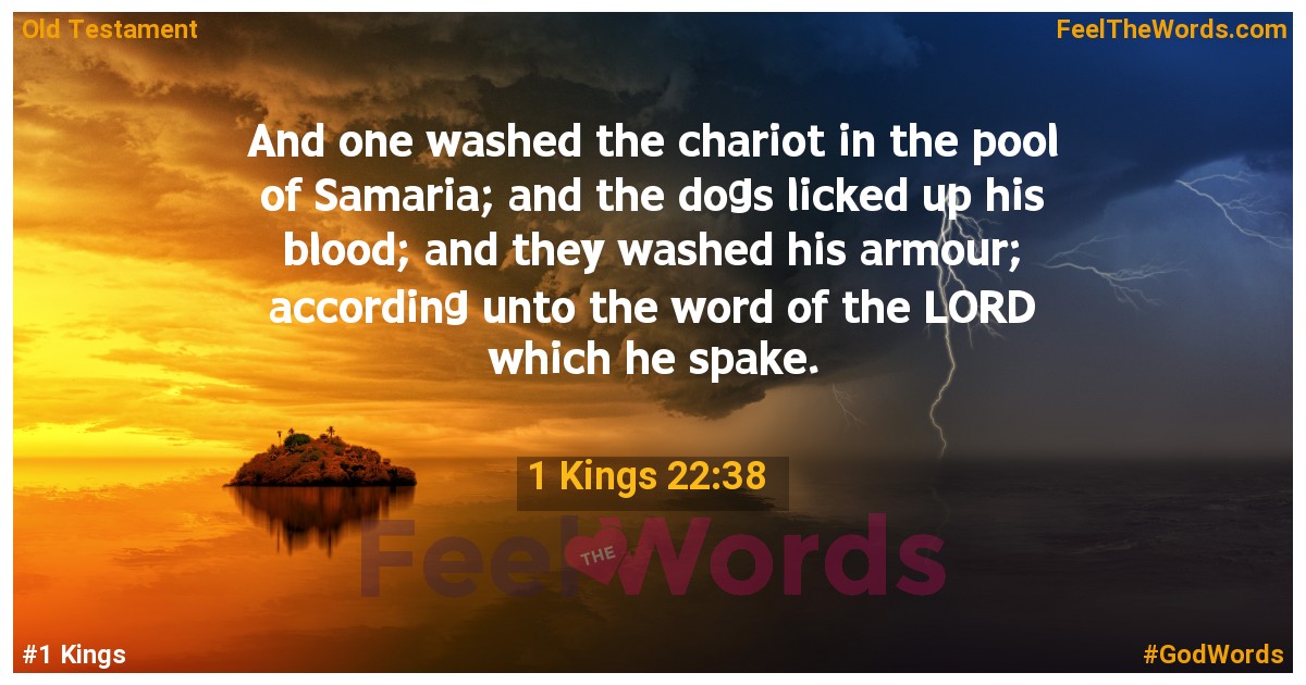 1 Kings 22:38