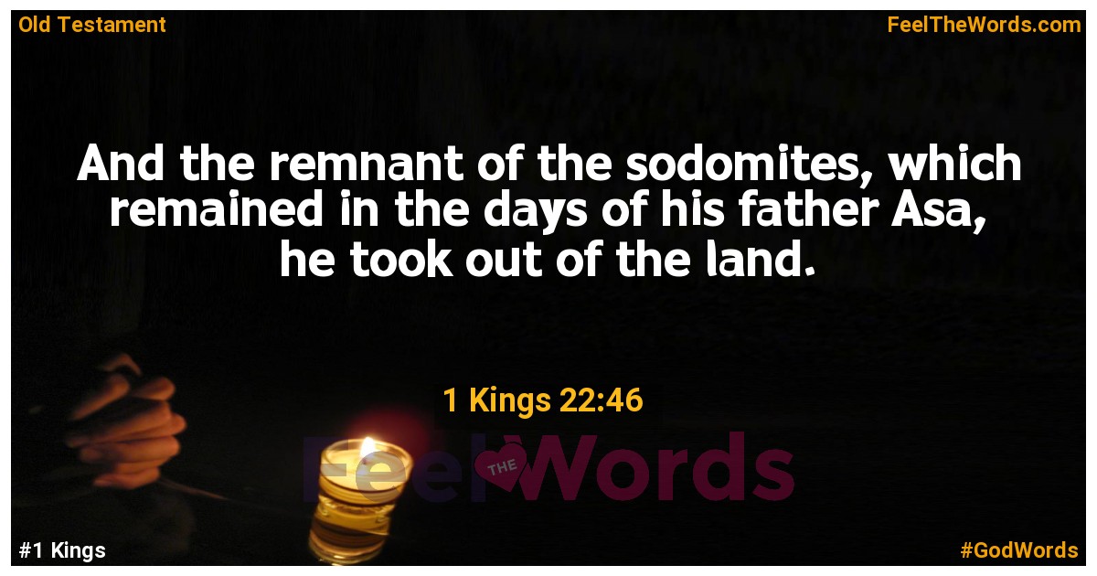 1 Kings 22:46