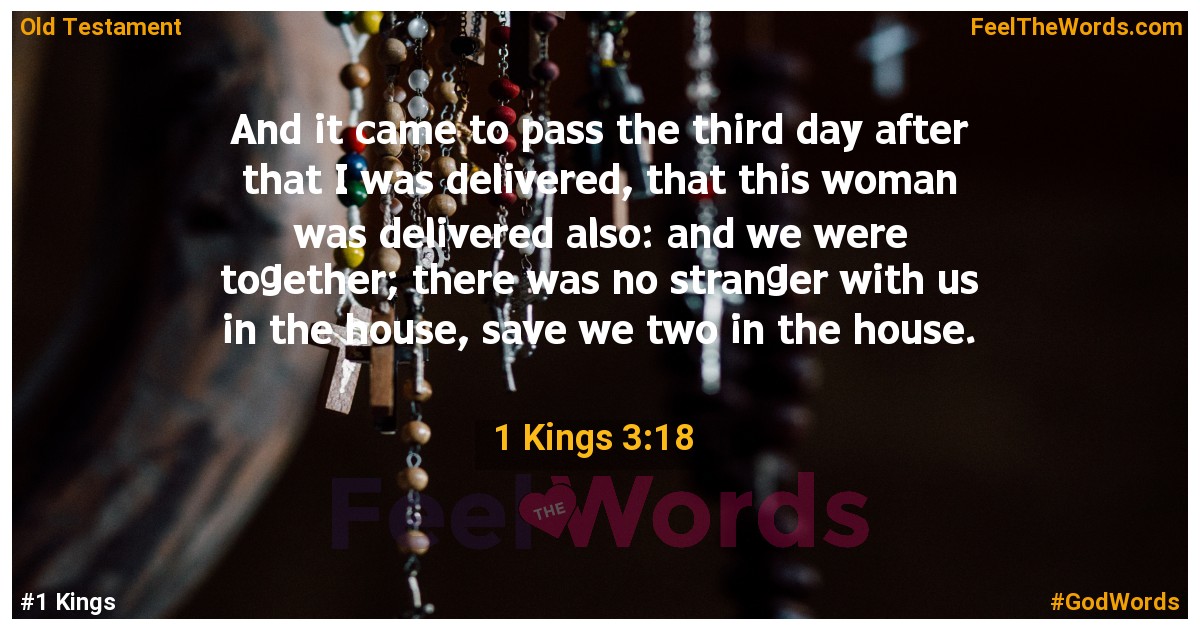 1 Kings 3:18