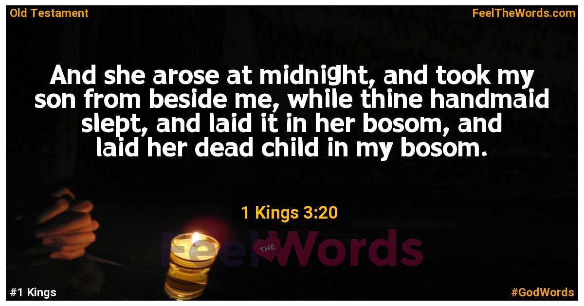 1 Kings 3:20