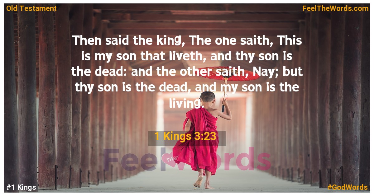 1 Kings 3:23