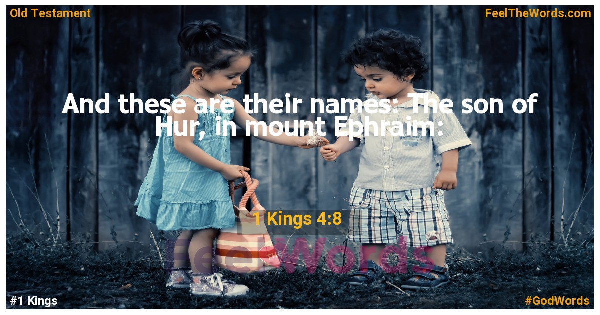 1 Kings 4:8